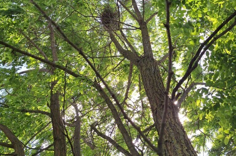 Salon samochodowy w&nbsp;Wysogotowie